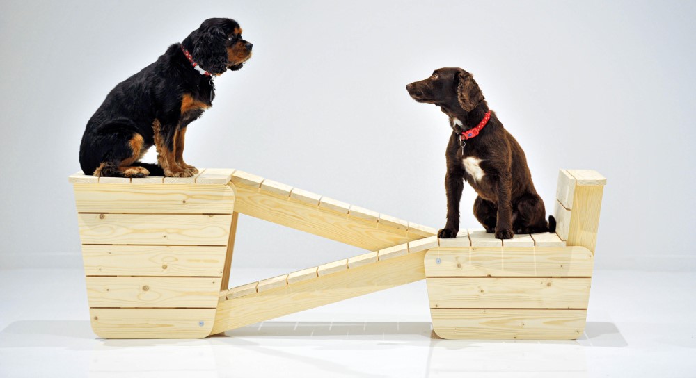 Architecture for Dogs Roadshow