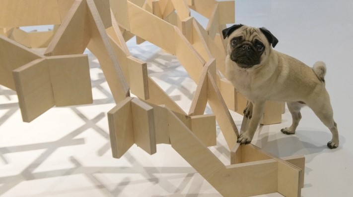 Architecture for Dogs Roadshow 2022: Pitzhanger Manor & Gallery